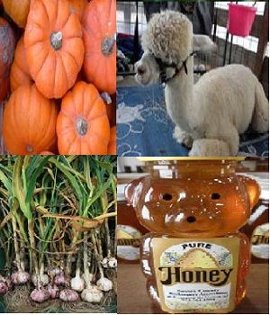 Sussex County Harvest, Honey & Garlic Festival