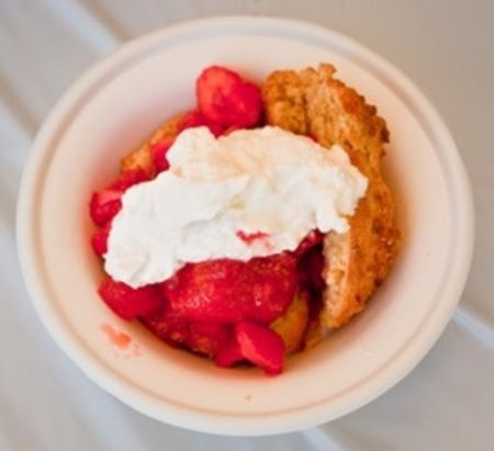 The Beacon Sloop Club Annual Strawberry Festival