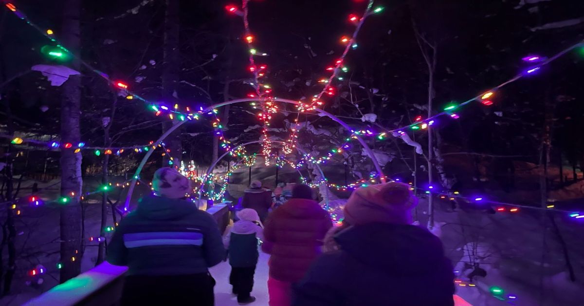 Zoo Lights