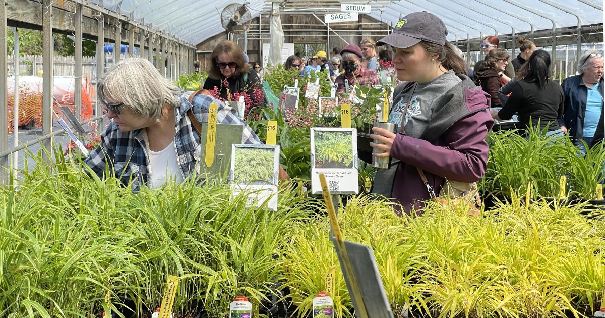 University of Delaware Ag Day 2024