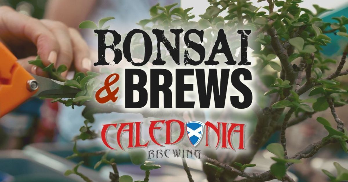 Bonsai and Brews at Caledonia Brewing