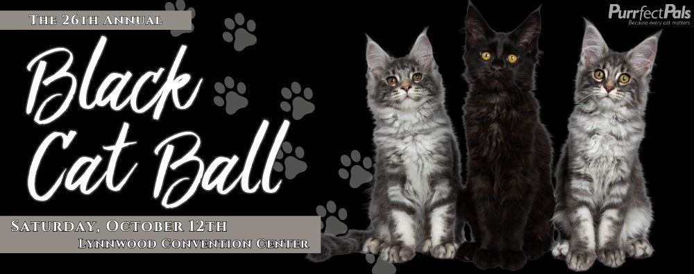 The Black Cat Ball Gala and Auction