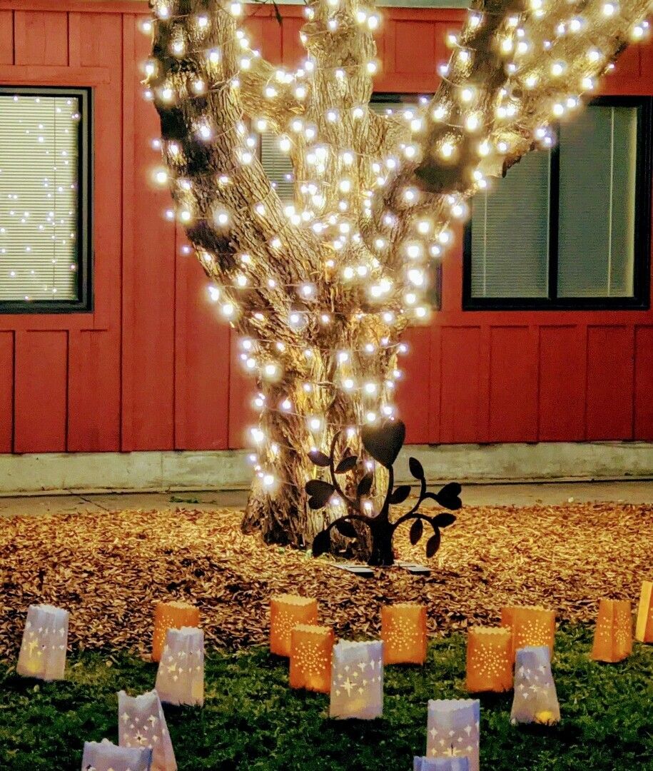 Tree of Lights Tree Lighting and Luminaria Installation
