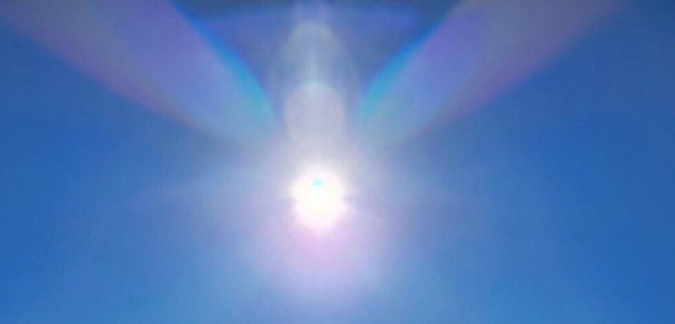 Qigong Infused Yoga Online Training