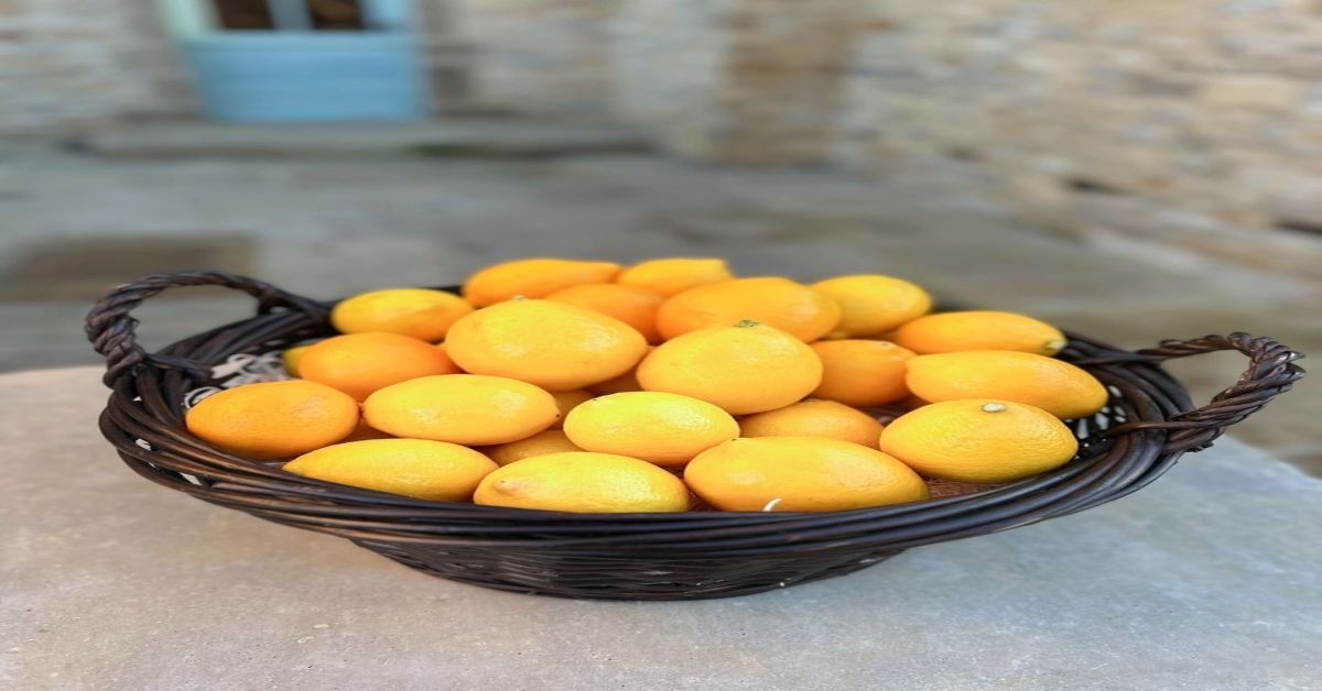 Marmalade Making Workshop