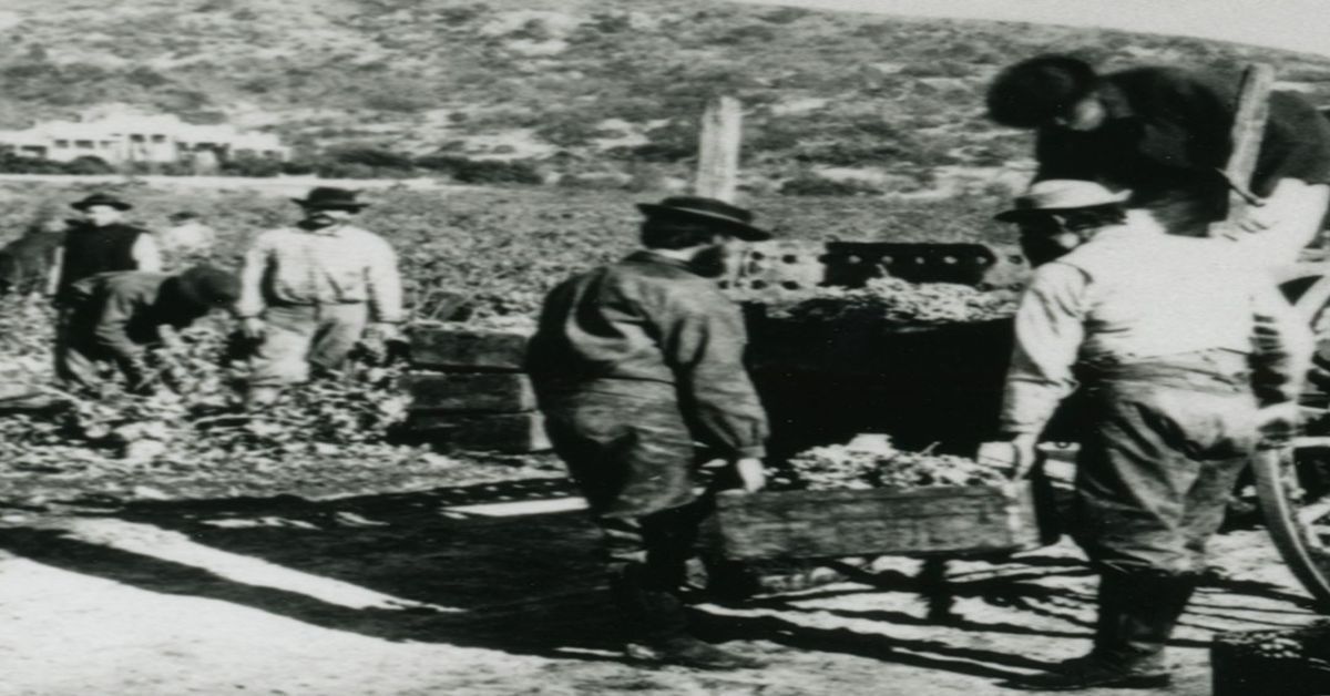 Sonoma Valley Historical Society Lecture: Early Chinese of Sonoma Valley