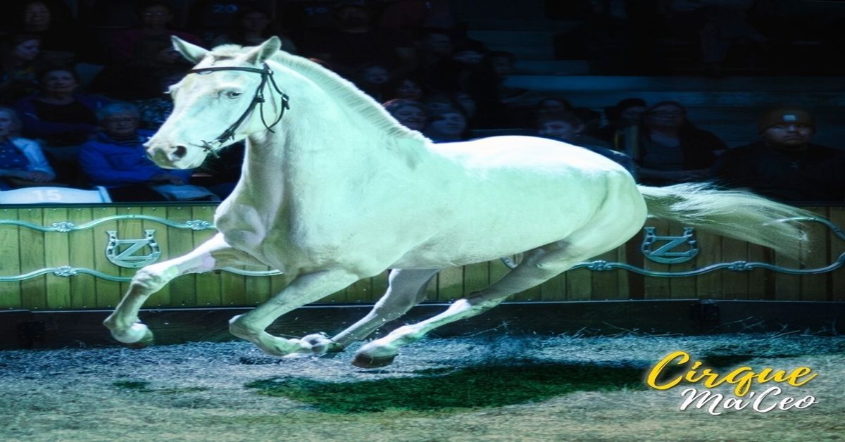 Cirque Ma'Ceo - Rock Springs WY