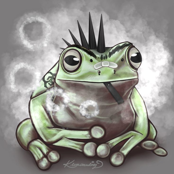 Colorado River Toads For Sale