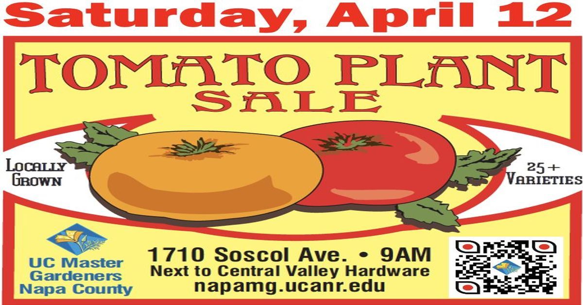 UC Master Gardeners Tomato Plant Sale!