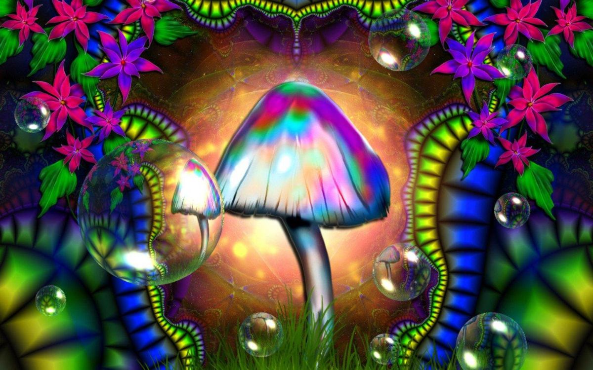 Magic mushrooms for sale online Near me 