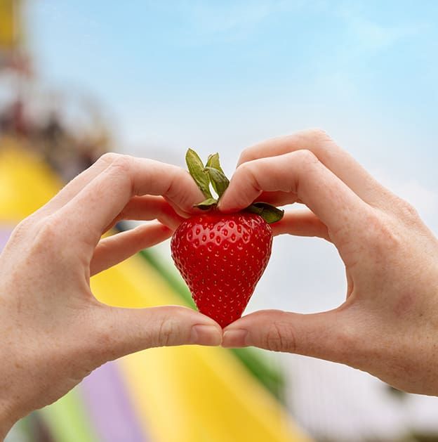 40th Annual California Strawberry Festival