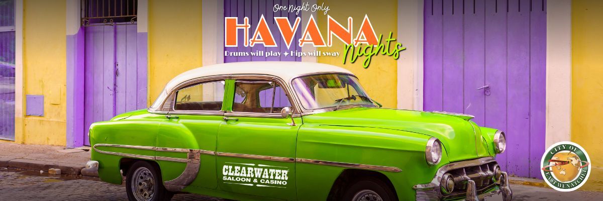 Havana Nights