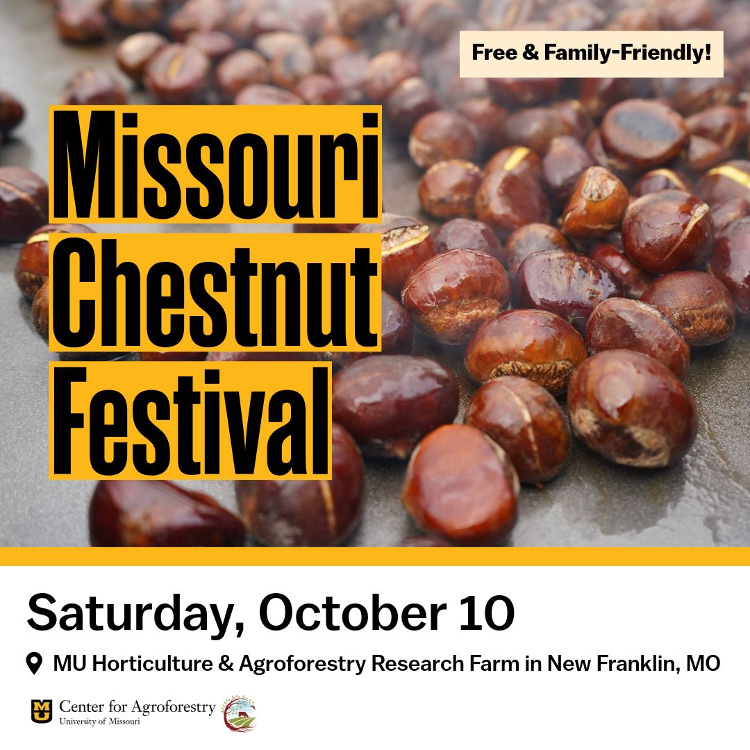 Missouri Chestnut Festival