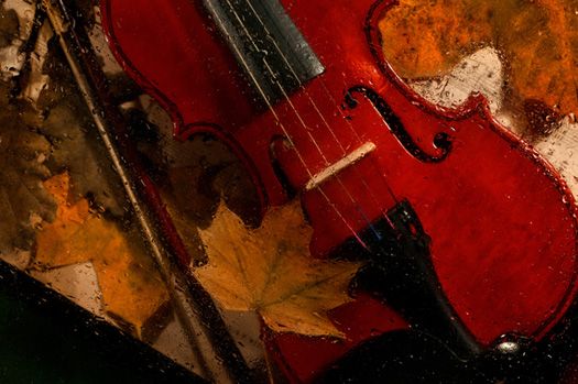 Lich Gate Concerts - Lich Gate Concerts