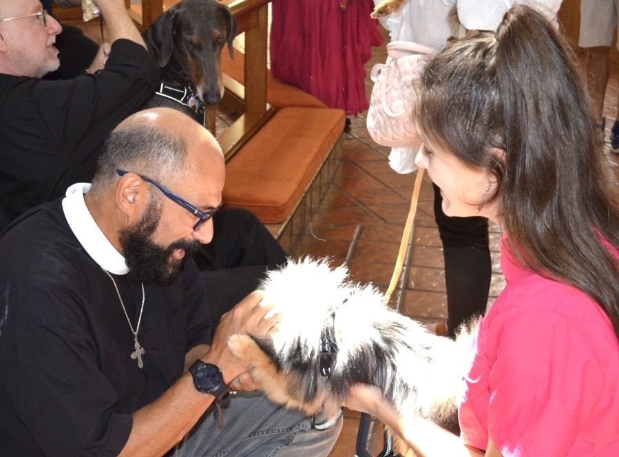 Blessing of the Animals Celebration
